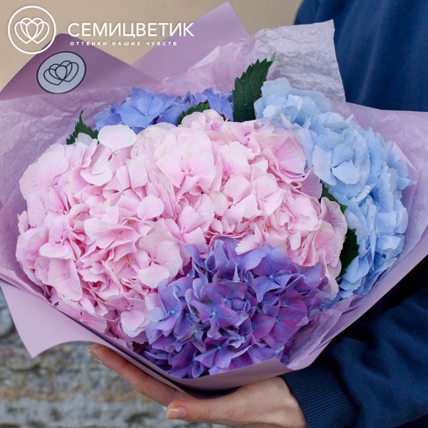 Букет из 5 гортензий яркий микс