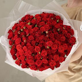 Букет из 51 красной кустовой розы 40-50 см (Россия)