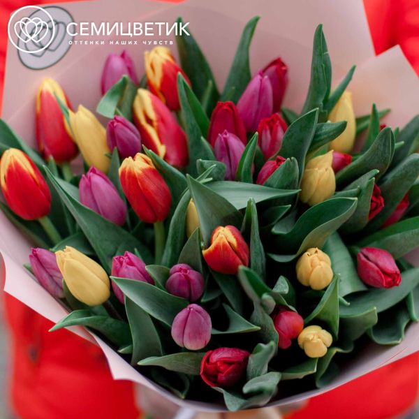 Букет из 35 тюльпанов микс