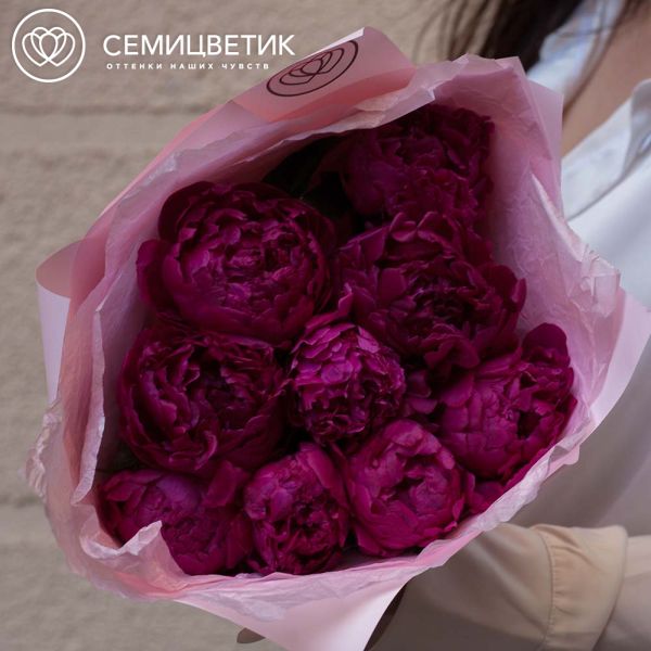 Букет из 9 малиновых пионов Standart Plus