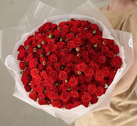Букет из 51 красной кустовой розы 40-50 см (Россия)
