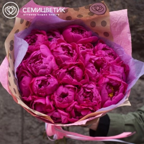 Букет из 19 малиновых пионов Standart в розовой пленке