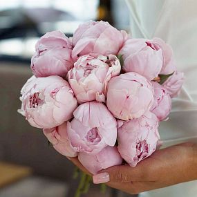 Свадебный букет из 15 розовых пионов Premium