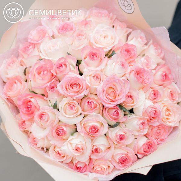 Букет из 51 белой с розовой каймой розы Джамалия 35-40 см (Россия)