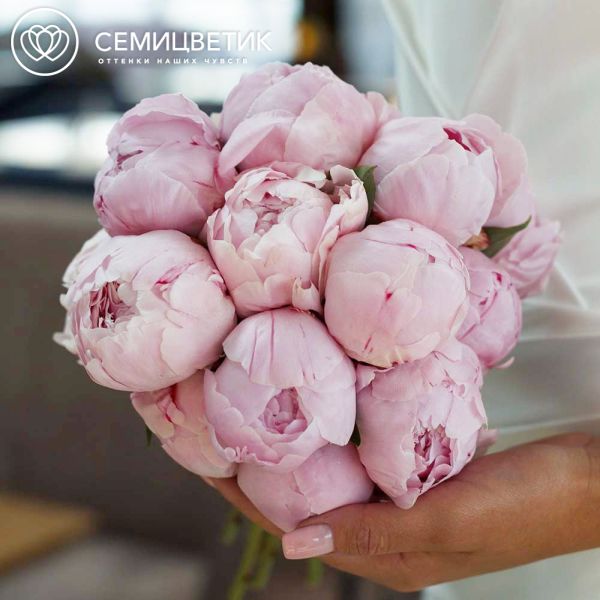 Свадебный букет из 15 розовых пионов Premium