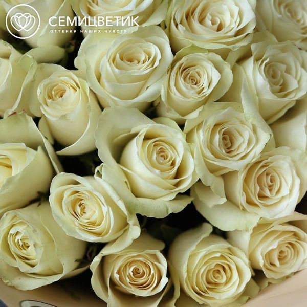 Букет из 25 белых роз Athena 70 см (Кения) в кремовой упаковке
