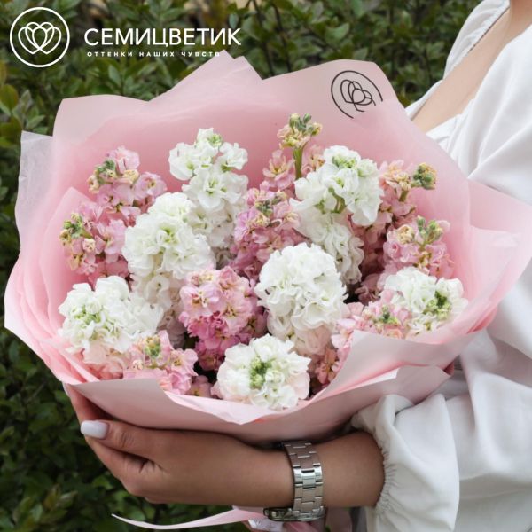 Букет из 15 розовых и белых махровых маттиол