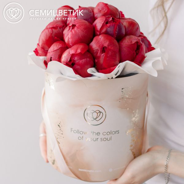 Букет в бежевой шляпной коробке Amour Mini из 21 бордового пиона Standart Plus