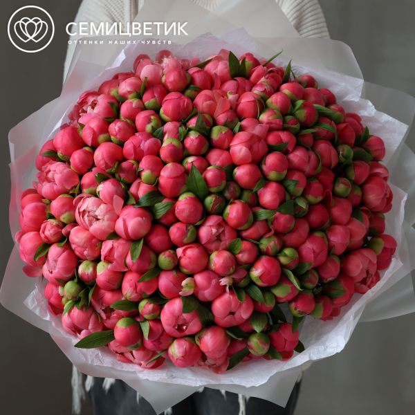 Букет из 151 кораллового пиона Coral Sunset Premium