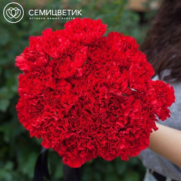 Траурный букет из 20 красных гвоздик