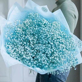 Монобукет  из 15 голубых гипсофил в голубой пленке