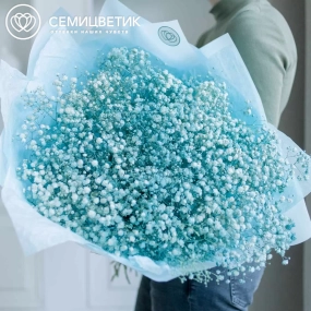 Букет из 15 голубых гипсофил в голубой пленке