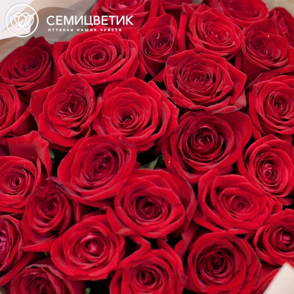 Букет из 35 красных роз 50 см (Россия)