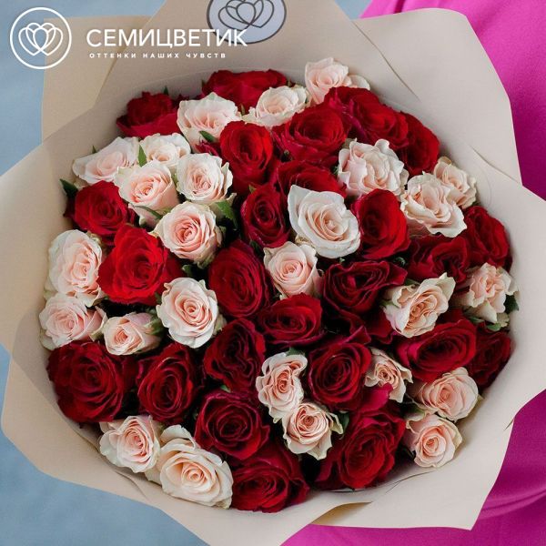 Букет из 51 красной и нежно-розовой розы 40 см (Кения) в кремовой пленке