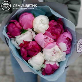 Букет из 11 пионов микс Standart Plus в голубой пленке