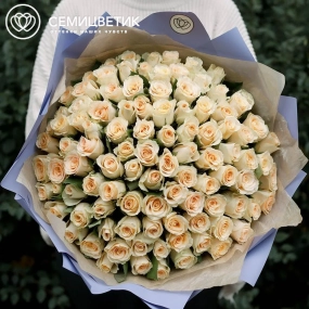 Букет из 101 кремовой розы 40 см (Кения) в сиреневой пленке
