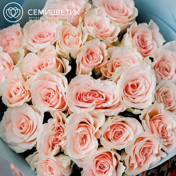 Букет из 25 нежно-розовых роз 40 см (Кения) в голубой пленке