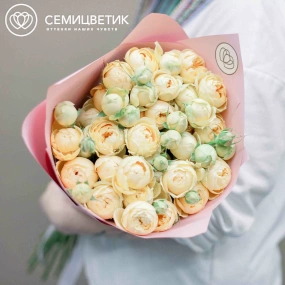 Букет из 15 кремовых кустовых пионовидных роз 70 см (Россия) в розовой пленке
