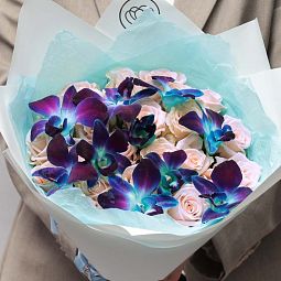 Букет из 25 нежно-розовых роз 35-40 см (Россия) и 10 синих орхидей Пандора в белой пленке