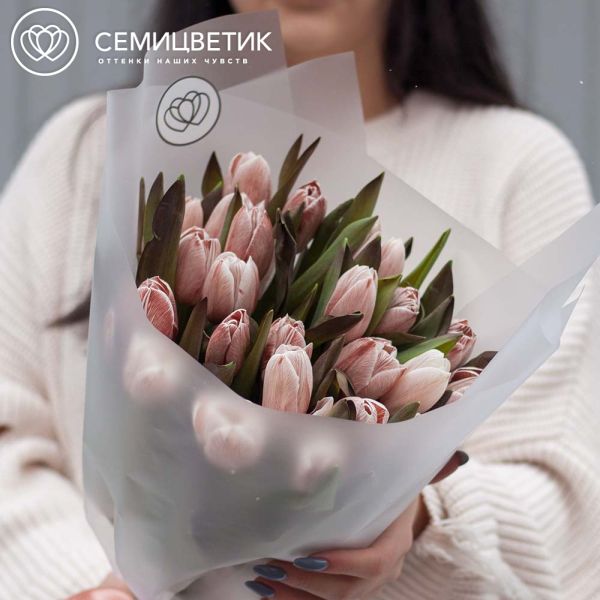 Букет из 25 тюльпанов Брауни