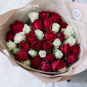Букет из 35 красных и белых роз 35-40 см (Кения) в кремовой пленке