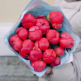 Букет из 15 коралловых пионов Coral Sunset Premium в розовой пленке