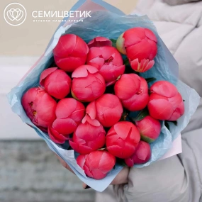 Букет из 15 коралловых пионов Coral Sunset Premium в розовой пленке