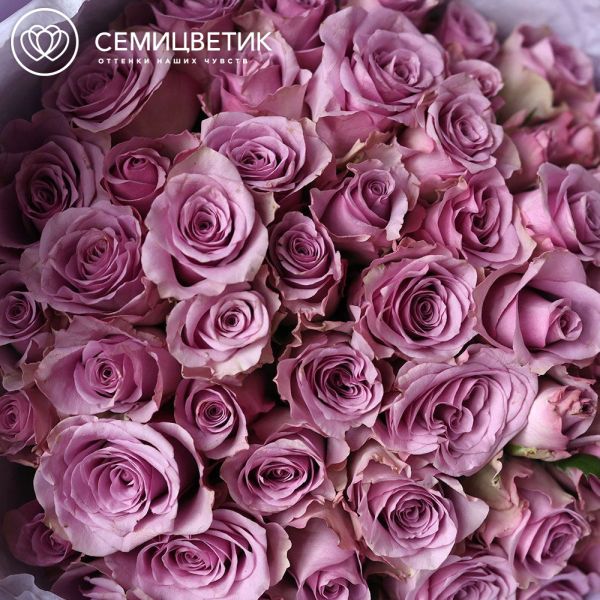 Букет из 51 сиреневой розы 35 см (Кения)