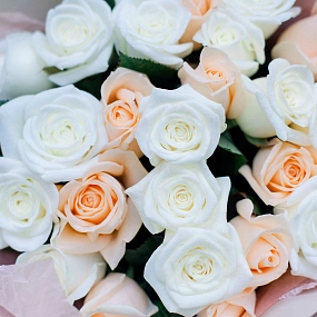 Букет из 25 белых и кремовых роз 35-40 см (Россия) в кремовой пленке