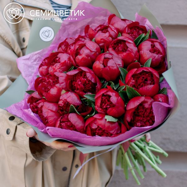 Букет из 25 бордовых пионов Premium