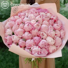Букет из 51 розового пиона Premium в розовой пленке