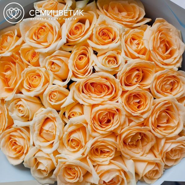 Букет из 35 кремовой розы 50 см (Россия)