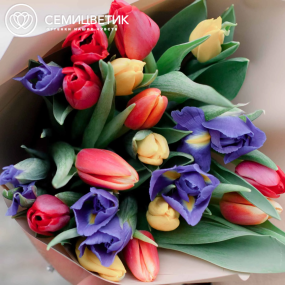 Букет из 10 синих ирисов и 15 тюльпанов 40 см в кремовой пленке