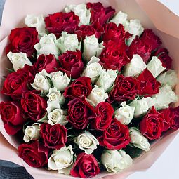 Букет из 51 красной и белой розы 40 см (Кения) в кремовой пленке