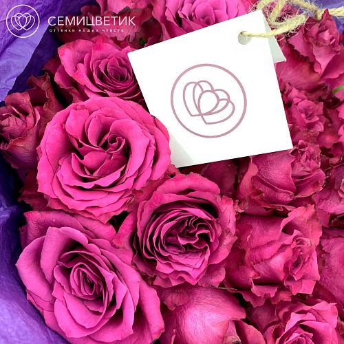 25 темно-фиолетовых роз (Кения) 40 см Premium