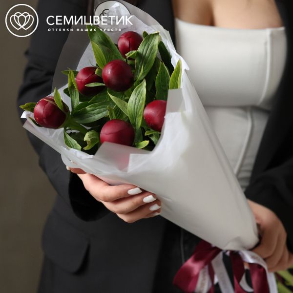 Букет из 7 бордовых пионов Standart Plus