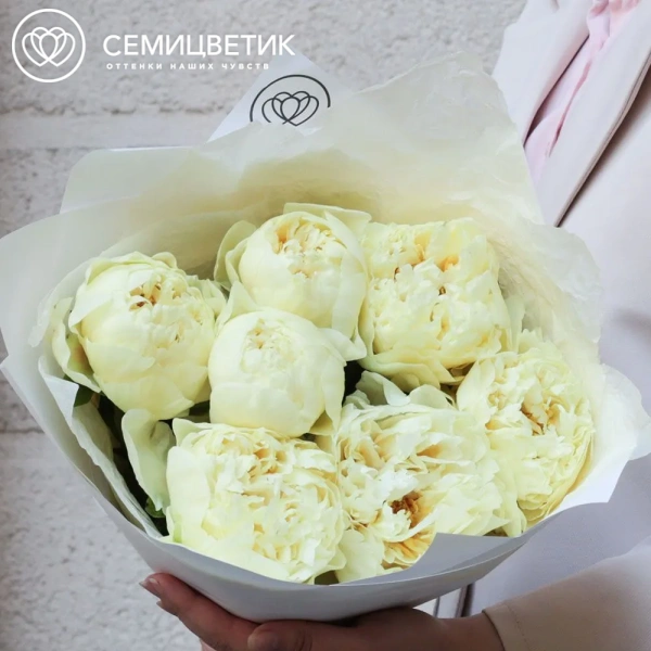Букет из 7 лимонных пионов Lemon Chiffon Premium в белой пленке