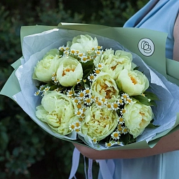 Букет из 9 лимонных пионов Lemon Chiffon Premium с матрикарией