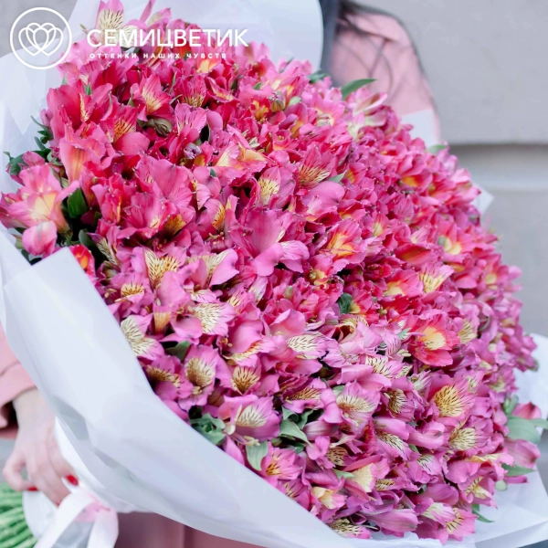 Букет из 101 розовой альстромерии в белой пленке