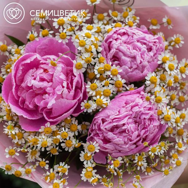 Букет из 3 розовых пионов Standart Plus и матрикарии