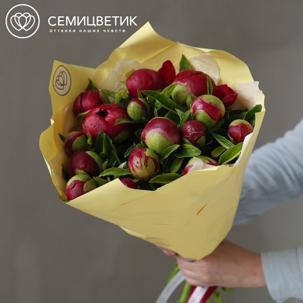 Букет из 15 бордовых пионов Premium Red Grace