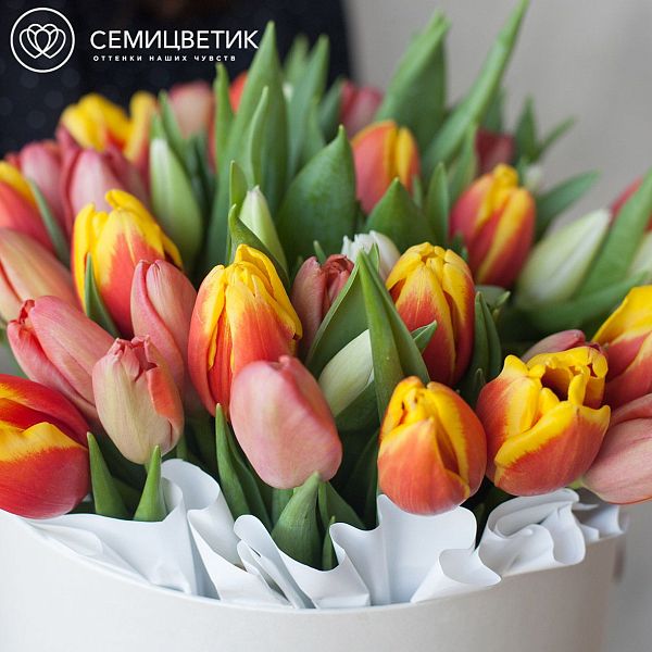 45 тюльпанов микс в белой коробке Amour L