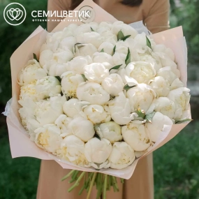Букет из 51 белого пиона Premium в розовой пленке