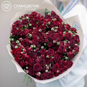 Букет из 25 красных кустовых роз 70 см (Россия) в кремовой пленке