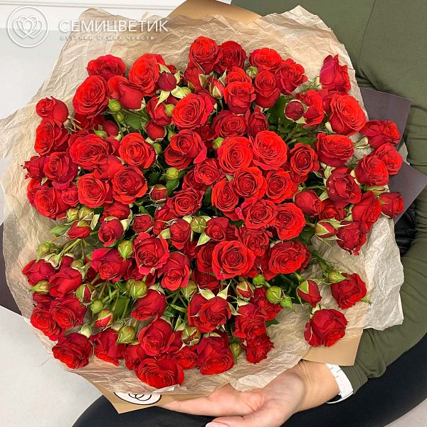 Букет из 51 красная кустовая роза 40 см (Кения) в бордовой пленке