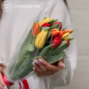 Букет из 11 тюльпанов микс 40 см в пленке