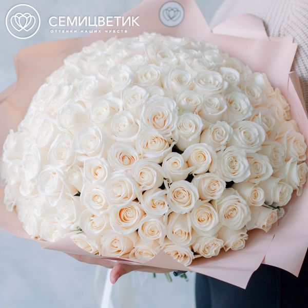 Букет из 101 белой розы Vendela 50 см (Эквадор) в кремовой пленке