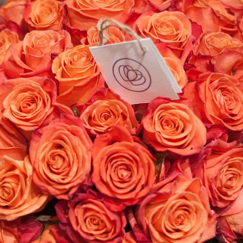 Оранжево-красные розы Orange Crush 50 см (Эквадор)