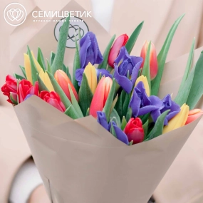 Букет из 10 синих ирисов и 15 тюльпанов 40 см в кремовой пленке