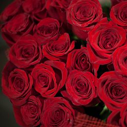Букет из 19 красных роз Freedom 50 см (Эквадор)